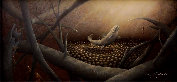 wagalabagala002011.jpg